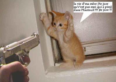 smah liya akhir mara radi nsra9 lik chi haja rir smah liya radarni jo3